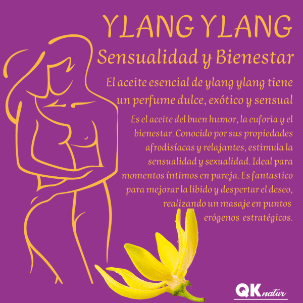 YLANG-YLANG Sensual Massage Oil - Image 5