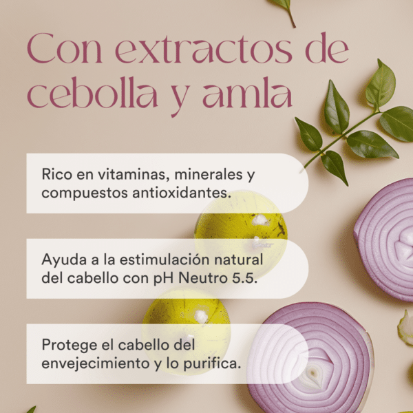 Champú con extractos de cebolla y amla para caída del cabello